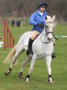 Image 61 in IPSWICH HORSE SOCIETY SPRING SHOW. 2 APRIL 2018