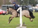 Image 62 in IPSWICH HORSE SOCIETY SPRING SHOW. 2 APRIL 2018