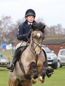 Image 63 in IPSWICH HORSE SOCIETY SPRING SHOW. 2 APRIL 2018