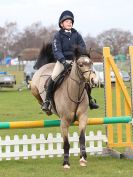 Image 64 in IPSWICH HORSE SOCIETY SPRING SHOW. 2 APRIL 2018