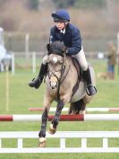 Image 65 in IPSWICH HORSE SOCIETY SPRING SHOW. 2 APRIL 2018