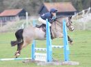 Image 67 in IPSWICH HORSE SOCIETY SPRING SHOW. 2 APRIL 2018