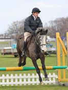 Image 71 in IPSWICH HORSE SOCIETY SPRING SHOW. 2 APRIL 2018