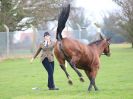 Image 8 in IPSWICH HORSE SOCIETY SPRING SHOW. 2 APRIL 2018