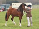 Image 89 in IPSWICH HORSE SOCIETY SPRING SHOW. 2 APRIL 2018