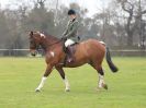 Image 9 in IPSWICH HORSE SOCIETY SPRING SHOW. 2 APRIL 2018