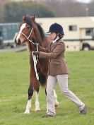 Image 90 in IPSWICH HORSE SOCIETY SPRING SHOW. 2 APRIL 2018