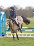 Image 99 in IPSWICH HORSE SOCIETY SPRING SHOW. 2 APRIL 2018