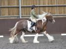 Image 10 in WORLD HORSE WELFARE. DRESSAGE. APRIL 7TH 2018