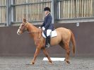 Image 102 in WORLD HORSE WELFARE. DRESSAGE. APRIL 7TH  2018