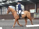 Image 120 in WORLD HORSE WELFARE. DRESSAGE. APRIL 7TH  2018