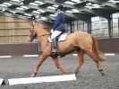 Image 121 in WORLD HORSE WELFARE. DRESSAGE. APRIL 7TH  2018