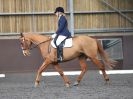 Image 138 in WORLD HORSE WELFARE. DRESSAGE. APRIL 7TH  2018