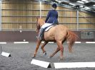 Image 141 in WORLD HORSE WELFARE. DRESSAGE. APRIL 7TH  2018