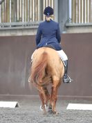 Image 143 in WORLD HORSE WELFARE. DRESSAGE. APRIL 7TH  2018