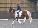 Image 15 in WORLD HORSE WELFARE. DRESSAGE. APRIL 7TH  2018