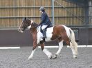 Image 15 in WORLD HORSE WELFARE. DRESSAGE. APRIL 7TH 2018