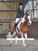 Image 153 in WORLD HORSE WELFARE. DRESSAGE. APRIL 7TH  2018