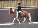 Image 155 in WORLD HORSE WELFARE. DRESSAGE. APRIL 7TH  2018
