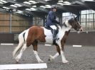 Image 16 in WORLD HORSE WELFARE. DRESSAGE. APRIL 7TH 2018