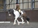 Image 160 in WORLD HORSE WELFARE. DRESSAGE. APRIL 7TH  2018