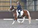 Image 17 in WORLD HORSE WELFARE. DRESSAGE. APRIL 7TH  2018