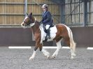 Image 17 in WORLD HORSE WELFARE. DRESSAGE. APRIL 7TH 2018