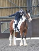 Image 18 in WORLD HORSE WELFARE. DRESSAGE. APRIL 7TH 2018