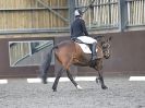 Image 193 in WORLD HORSE WELFARE. DRESSAGE. APRIL 7TH  2018