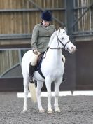 Image 28 in WORLD HORSE WELFARE. DRESSAGE. APRIL 7TH  2018