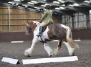Image 3 in WORLD HORSE WELFARE. DRESSAGE. APRIL 7TH 2018