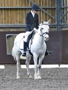Image 38 in WORLD HORSE WELFARE. DRESSAGE. APRIL 7TH  2018