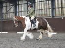 Image 4 in WORLD HORSE WELFARE. DRESSAGE. APRIL 7TH 2018