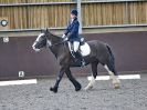 Image 41 in WORLD HORSE WELFARE. DRESSAGE. APRIL 7TH  2018