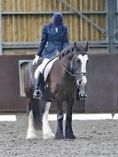 Image 43 in WORLD HORSE WELFARE. DRESSAGE. APRIL 7TH  2018