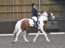 Image 47 in WORLD HORSE WELFARE. DRESSAGE. APRIL 7TH  2018
