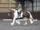 Image 5 in WORLD HORSE WELFARE. DRESSAGE. APRIL 7TH 2018