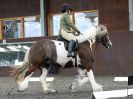 Image 6 in WORLD HORSE WELFARE. DRESSAGE. APRIL 7TH  2018