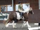 Image 6 in WORLD HORSE WELFARE. DRESSAGE. APRIL 7TH 2018
