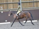 Image 69 in WORLD HORSE WELFARE. DRESSAGE. APRIL 7TH  2018