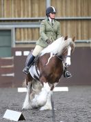 Image 7 in WORLD HORSE WELFARE. DRESSAGE. APRIL 7TH 2018