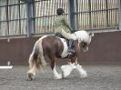 Image 8 in WORLD HORSE WELFARE. DRESSAGE. APRIL 7TH 2018