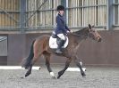 Image 80 in WORLD HORSE WELFARE. DRESSAGE. APRIL 7TH  2018