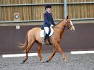 Image 92 in WORLD HORSE WELFARE. DRESSAGE. APRIL 7TH  2018