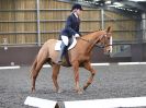 Image 98 in WORLD HORSE WELFARE. DRESSAGE. APRIL 7TH  2018