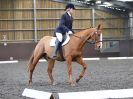 Image 98 in WORLD HORSE WELFARE. DRESSAGE. APRIL 7TH  2018