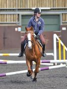 Image 12 in WORLD HORSE WELFARE. SHOW JUMPING. 21 APRIL 2018