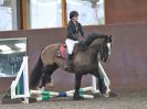 Image 28 in WORLD HORSE WELFARE. SHOW JUMPING. 21 APRIL 2018