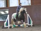 Image 63 in WORLD HORSE WELFARE. SHOW JUMPING. 21 APRIL 2018