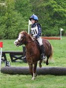 Image 33 in SOUTH NORFOLK PONY CLUB. HUNTER TRIAL. 28 APRIL 2018